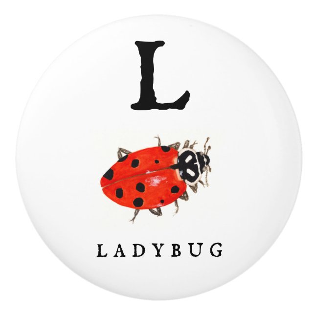 Ladybug  ceramic knob (Front)