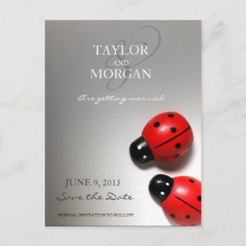 Ladybug Classic Modern Wedding Save The Date Announcement Postcard by loveisthething at Zazzle