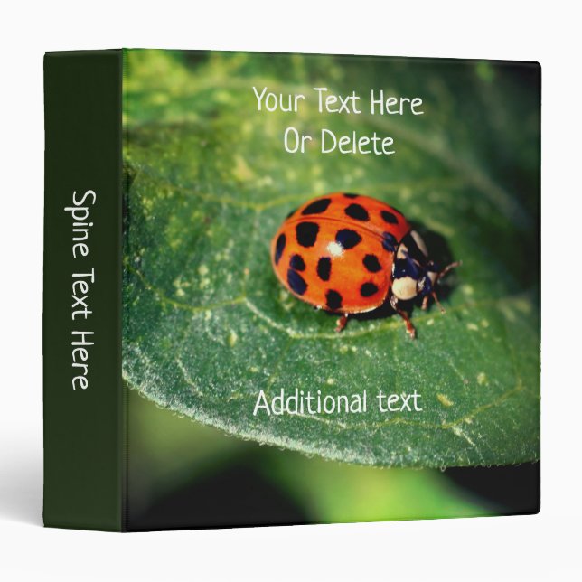 Ladybug Close Up Nature Personalized 3 Ring Binder (Front/Spine)