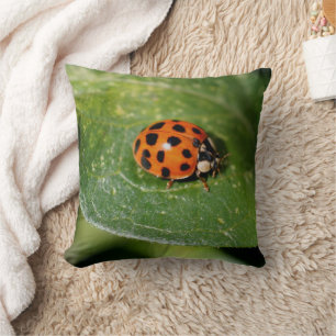 Ladybug Close Up Nature Throw Pillow