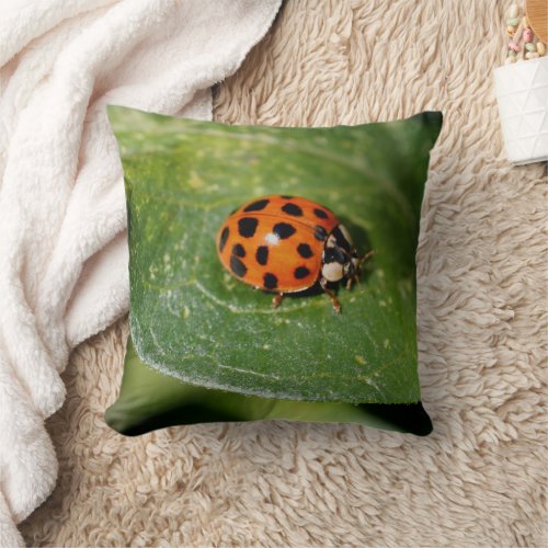 Ladybug Close Up Nature  Throw Pillow