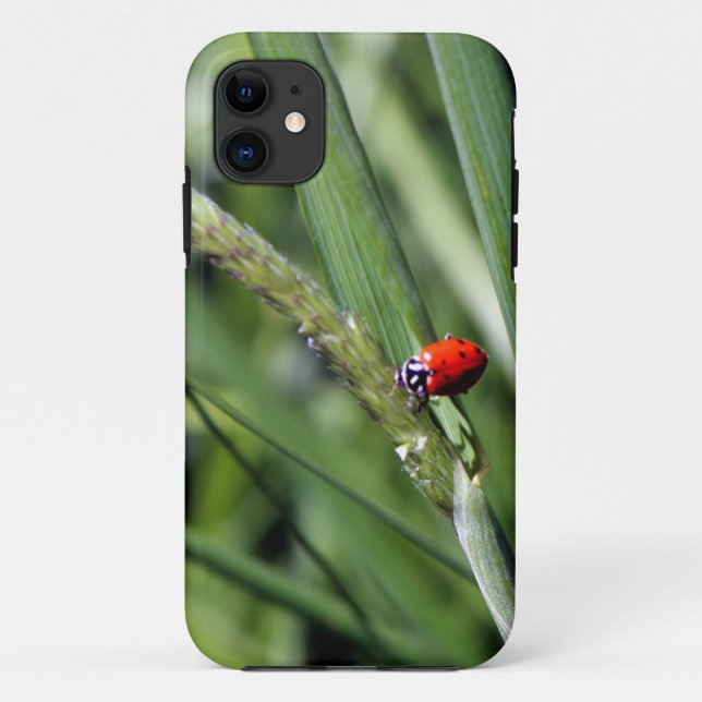 Ladybug (Coccinellidae) Case-Mate iPhone Case (Back)