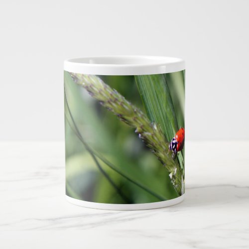 Ladybug Coccinellidae Large Coffee Mug