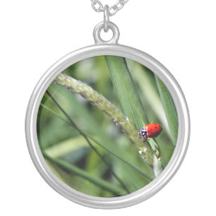 Ladybug (Coccinellidae) Silver Plated Necklace