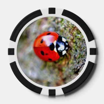 Ladybug Crawling On Tree Trunk Poker Chips by jm_vectorgraphics at Zazzle
