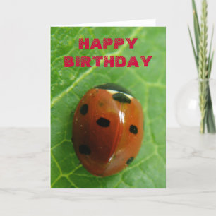 Ladybug Customizable Greeting Card