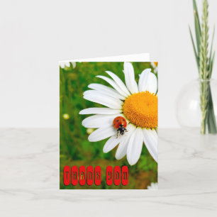 Ladybug & Daisies Letterpress Thank You Card