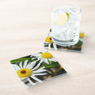 Ladybug Daisy Flower (photo by me) Glass Coaster