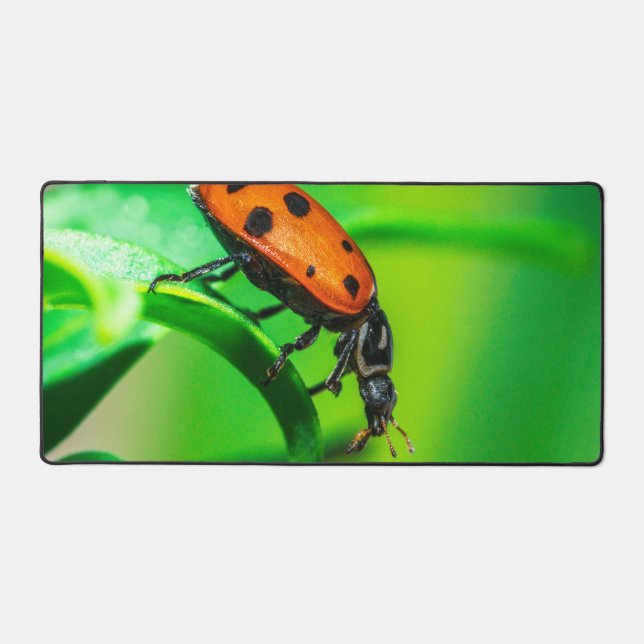 Ladybug Desk Mat | Nature Workspace Aesthetic (Front)