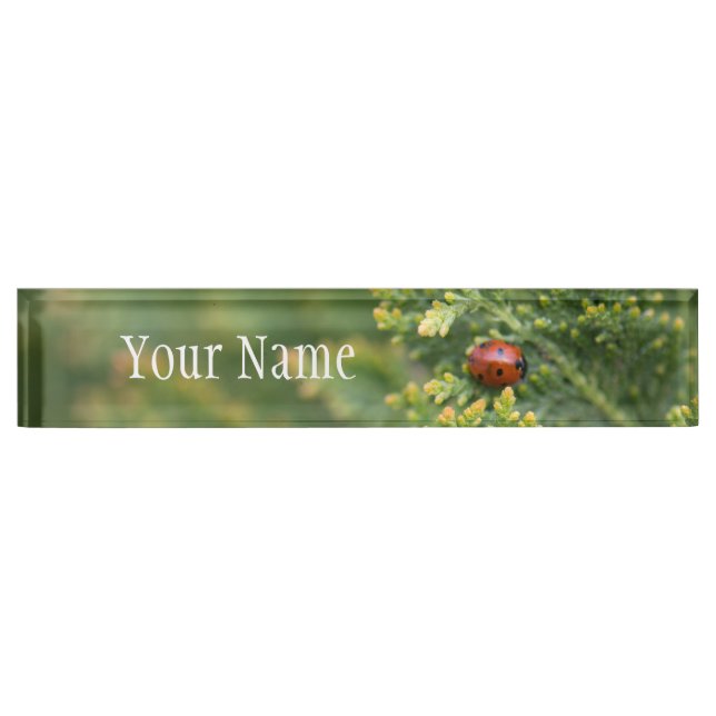 Ladybug Desk Name Plate (Front)