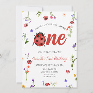 Ladybug First Birthday  Invitation