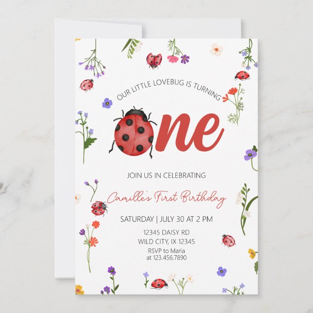 Ladybug First Birthday  Invitation