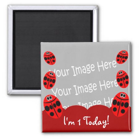 Ladybug First Birthday Photo Magnet Party Favors