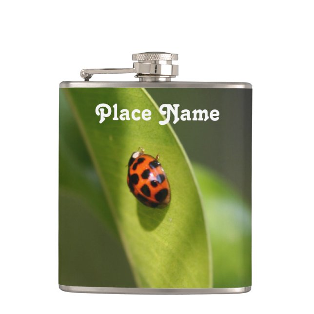 Ladybug Flask (Front)