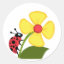Ladybug Flower