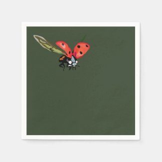 Ladybug  Fly