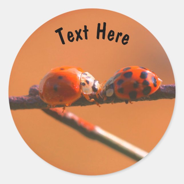 Ladybug Friends Nature Personalized Classic Round Sticker (Front)