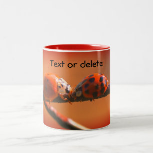 Ladybug Friends Nature Personalized Two-Tone Coffee Mug