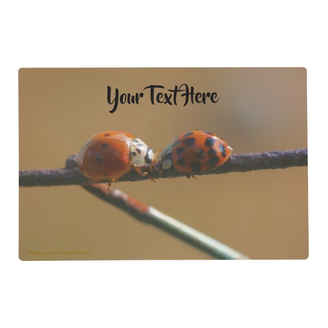 Ladybug Friends Personalized  Placemat (Front)