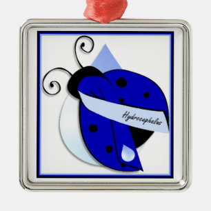 Ladybug Hydrocephalus Ornament