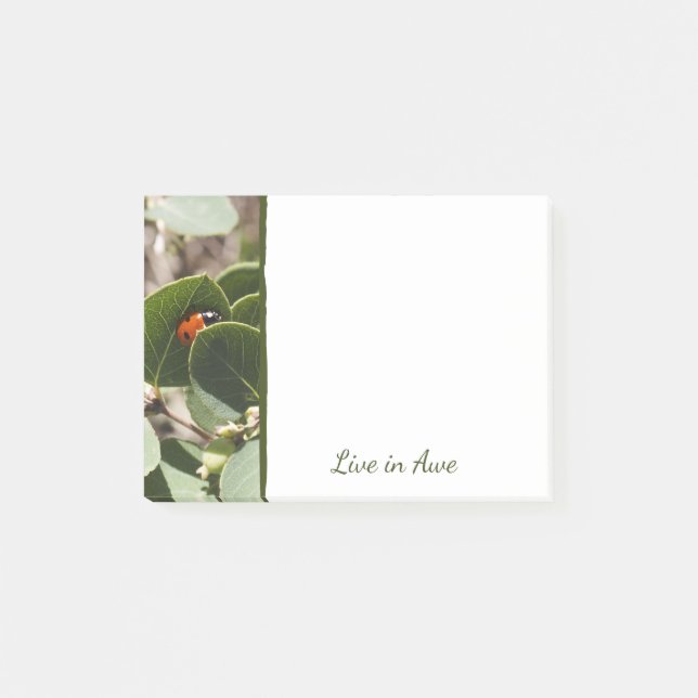 Ladybug in Green Leaves Post-It Notes (Front)