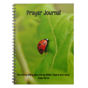 Ladybug in Leaves Bible Verse Prayer Journal