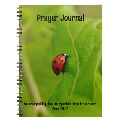 Ladybug in Leaves Bible Verse Prayer Journal