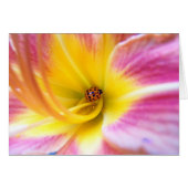 Ladybug in Lilly (Front Horizontal)