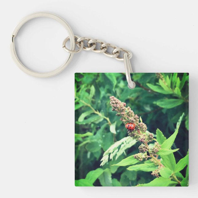 Ladybug in Spring Keychain (Front)