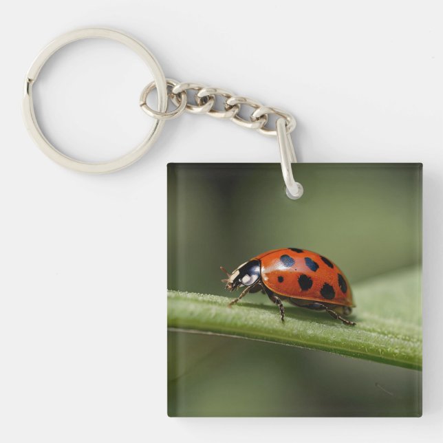 Ladybug Insect Keychain (Front)