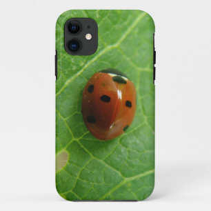 Ladybug iPhone 5 Case