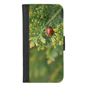 Ladybug iPhone 8/7 Wallet Case