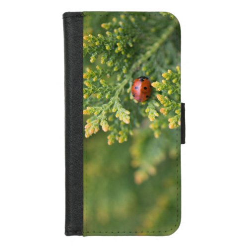 Ladybug iPhone 87 Wallet Case