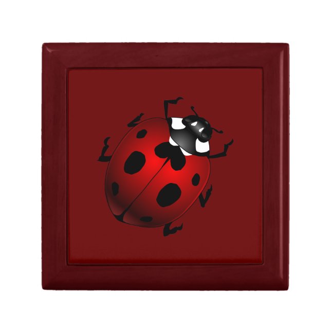 Ladybug Jewelry Box Lady Bird Keepsake Box Gifts (Front)