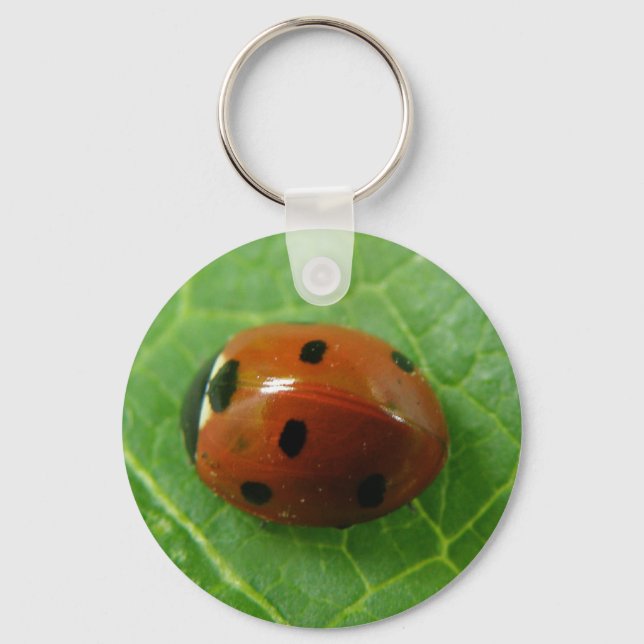 Ladybug Keychain (Front)