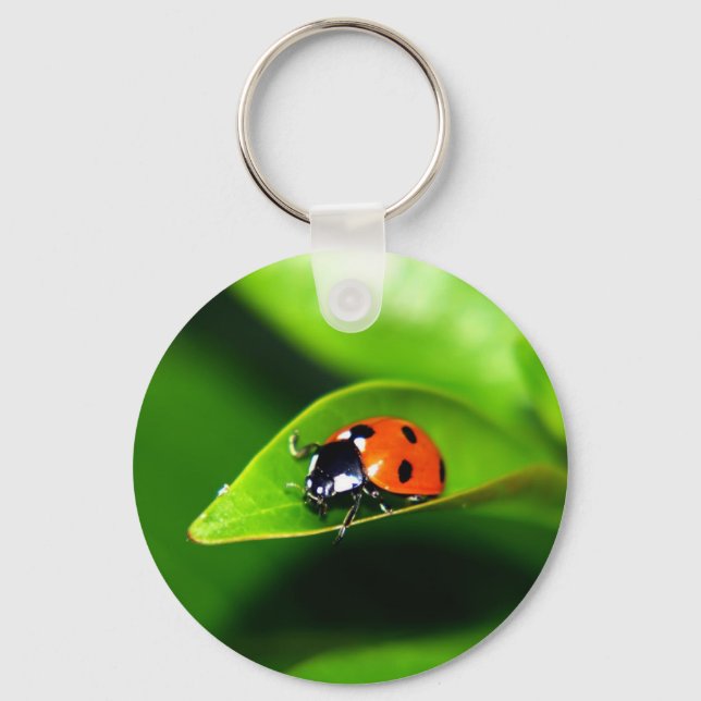 Ladybug Keychain (Front)