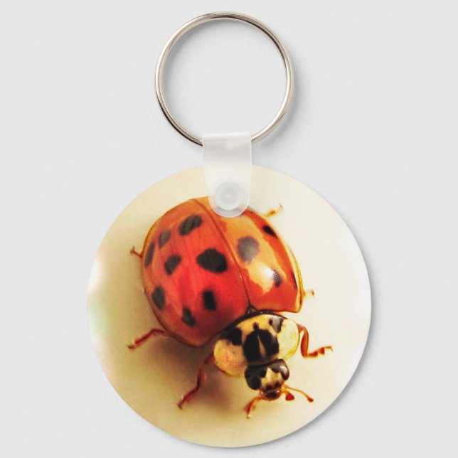 Ladybug Keychain (Front)