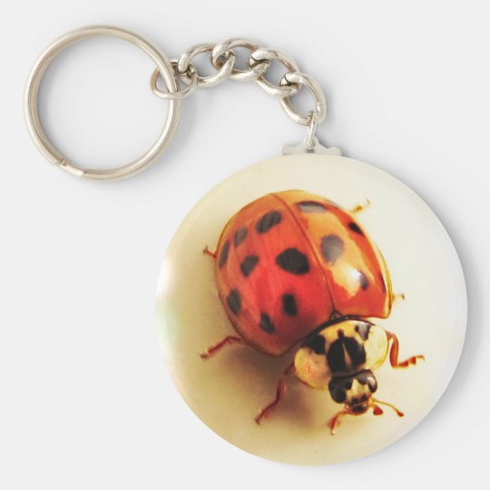 Ladybug Keychain