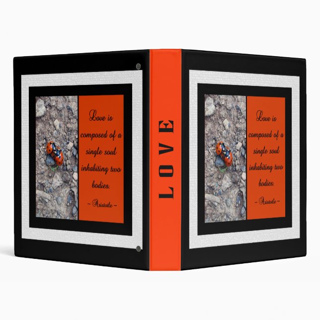 Ladybug Kisses Binder (Background)