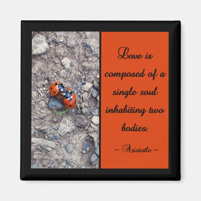 Ladybug Kisses Magnet (Front)