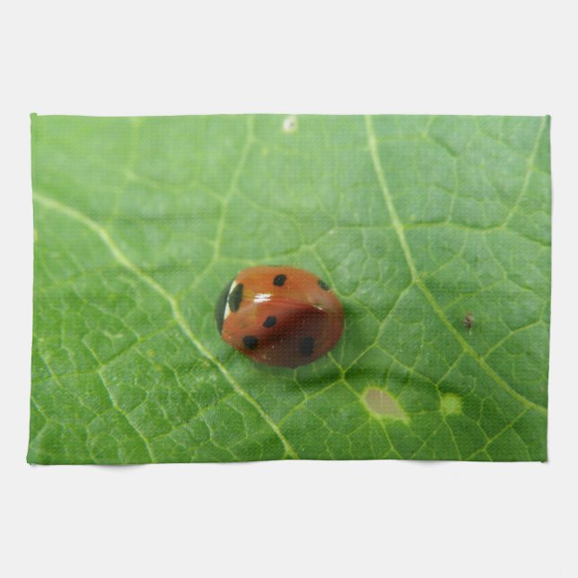 Ladybug Kitchen Towel (Horizontal)