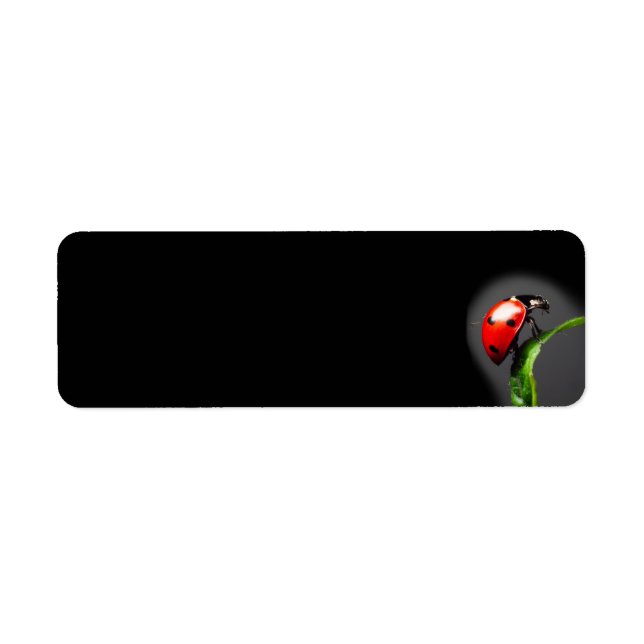 Ladybug Label (Front)