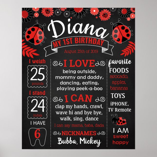 Ladybug Lady Bug Birthday Party chalkboard Poster (Front)