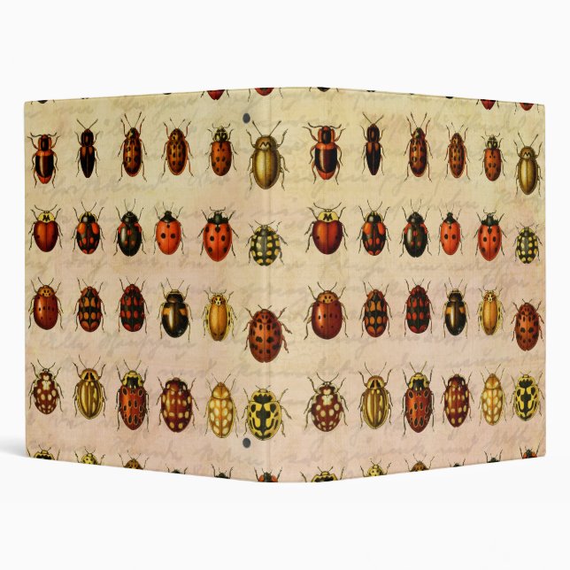 Ladybug Ladybird Beetle Insect Bug 3 Ring Binder (Background)