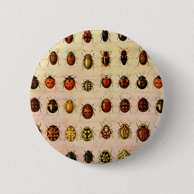Ladybug Ladybird Beetle Insect Bug Button (Front)