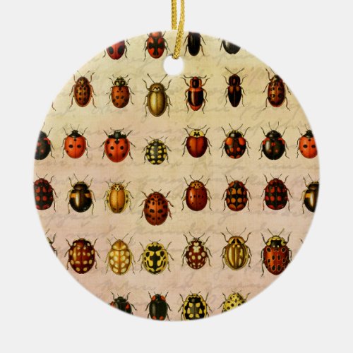 Ladybug Ladybird Beetle Insect Bug Ceramic Ornament