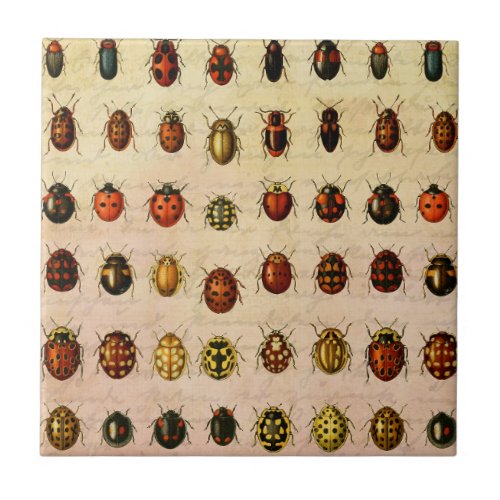 Ladybug Ladybird Beetle Insect Bug Ceramic Tile
