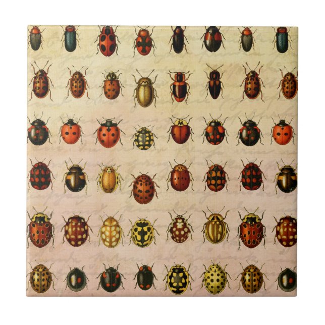 Ladybug Ladybird Beetle Insect Bug Ceramic Tile (Front)