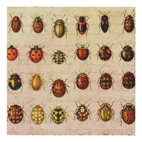 Ladybug Ladybird Beetle Insect Bug Faux Canvas Print