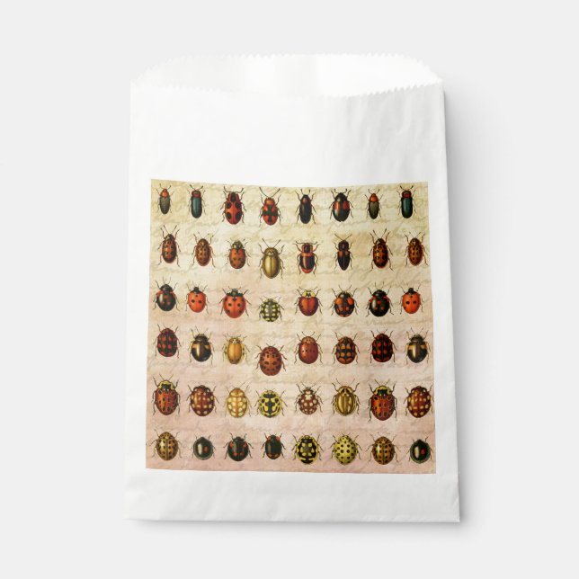 Ladybug Ladybird Beetle Insect Bug Favor Bag (Front)